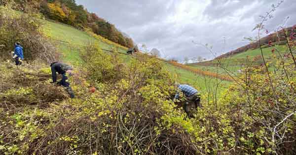 img-web-footer-ueber-uns-pledge-1-unser-einsatz-jurapark-aargau-team-schneidet-hecken-col